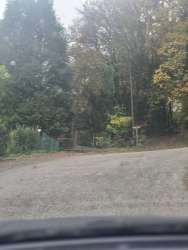 Photo of this report